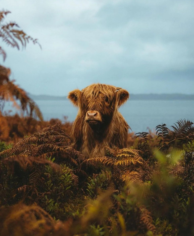 Screenshot_20231208_212902_Instagram