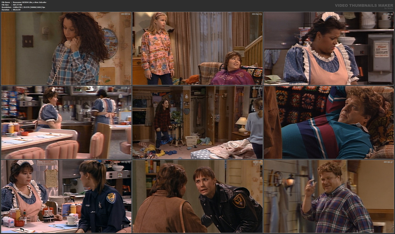 Roseanne S03E04 Like, a New Job.mkv