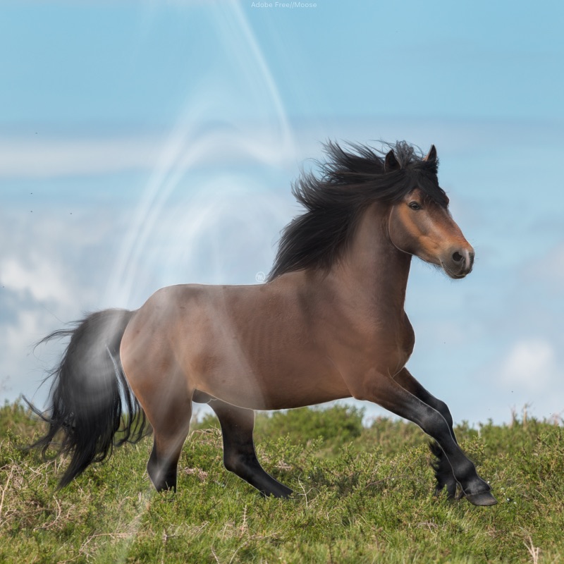 0FA35A81-577E-45CA-A441-5C52B94C8377