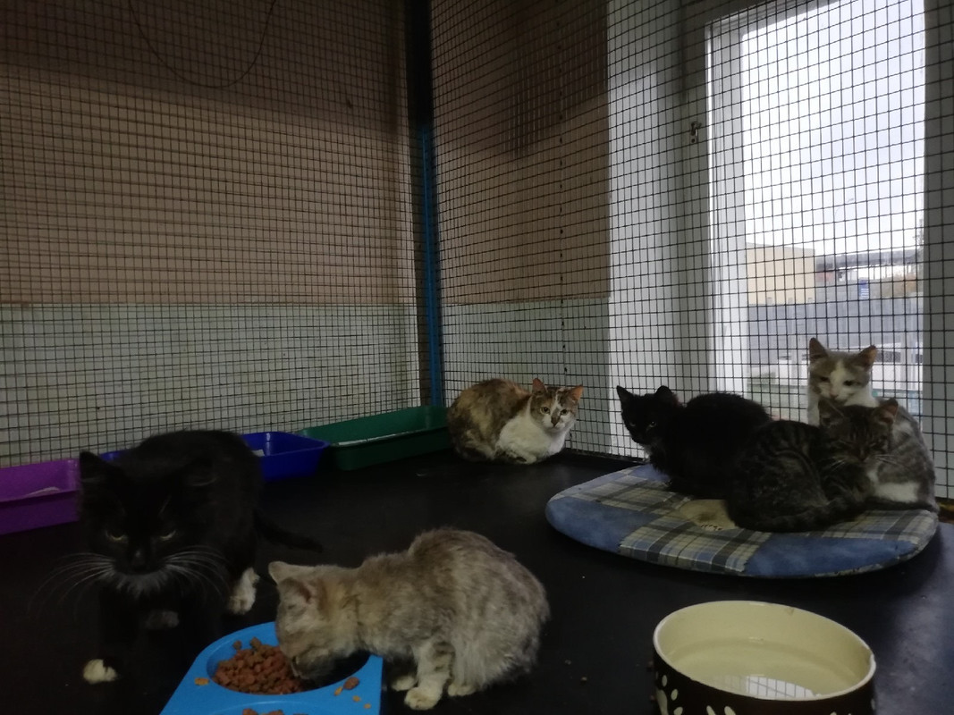 27ACECDD-F5D2-48BB-9804-8864C7421A2E