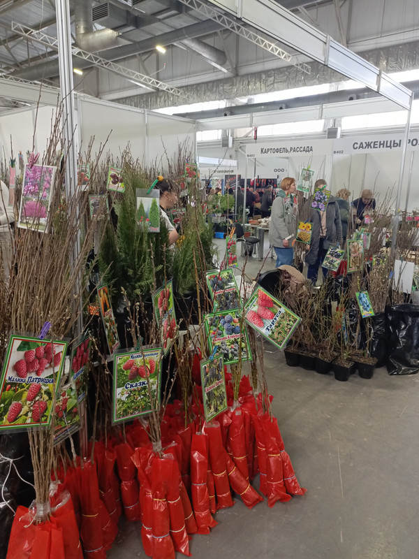 IMG_20250424_144333_760