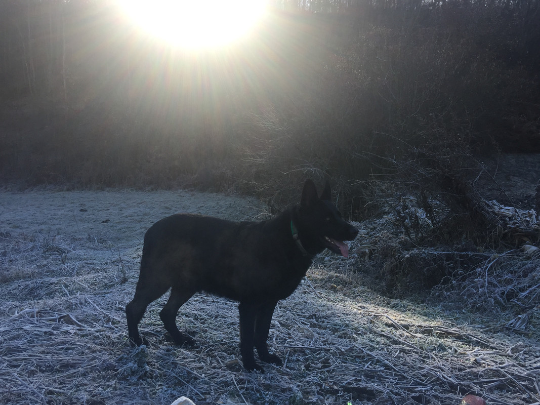 58F8111D-C9ED-4535-AE86-E7AD58EE33FB