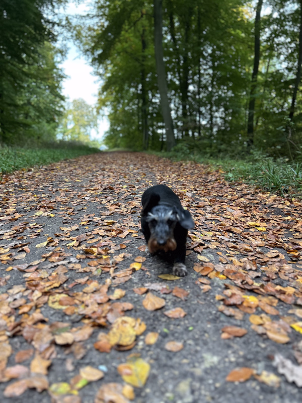 [Image: IMG-20251102-142351.avif]