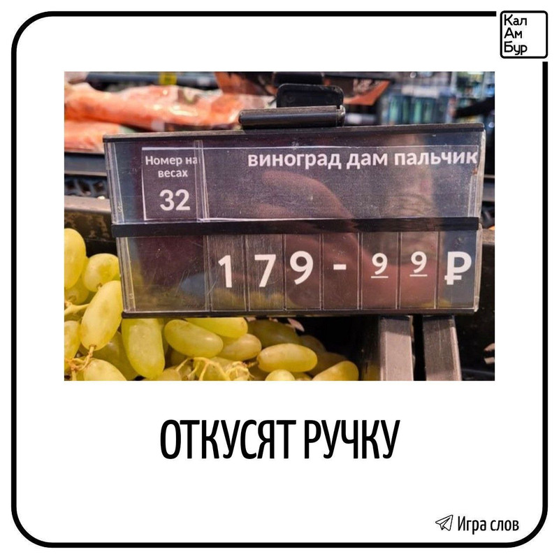 photo 2026 03 11 08 36 57