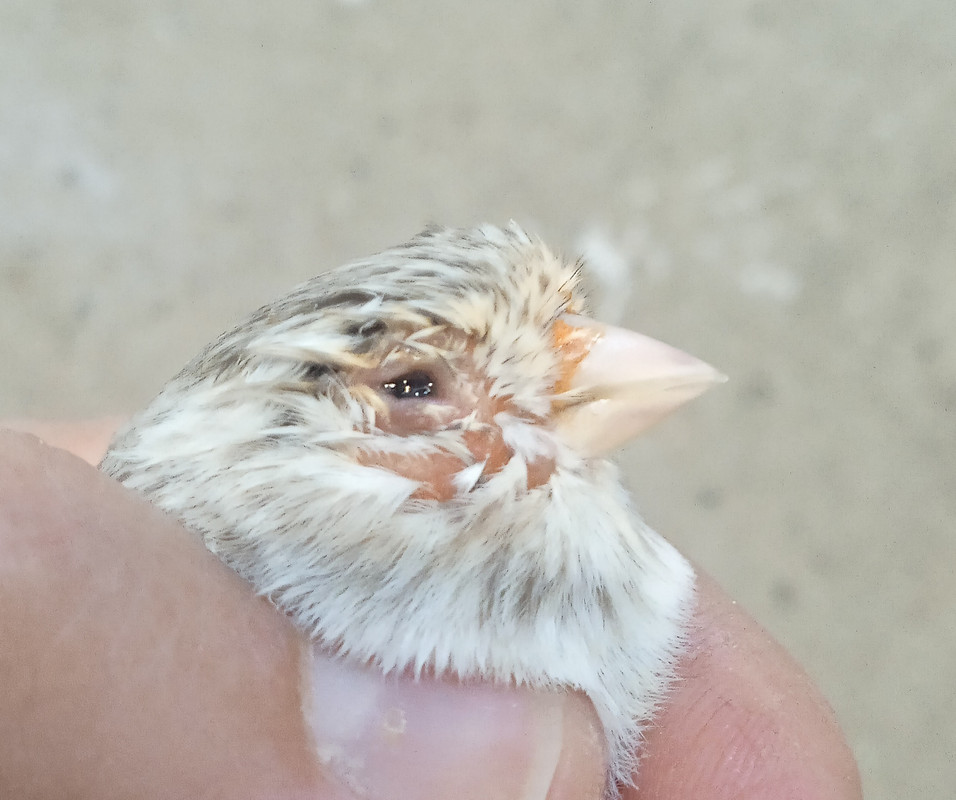 IMG_٢٠٢٥٠٩٢٥_٠١٤٢١٧