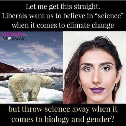 Liberals-and-Climate-gender-change