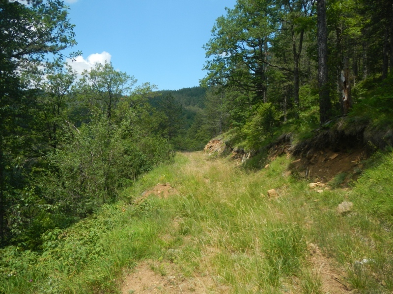 Zlatibor juli 2013 (54)