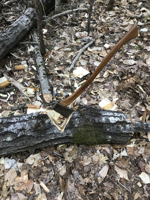 8011AF6E-838F-4490-8E6E-869DC07F3591