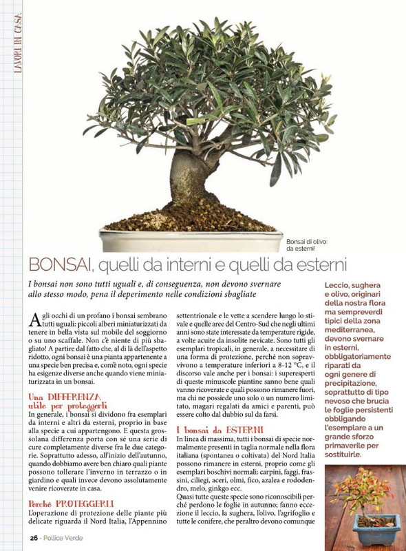 Pol Ver Ott 2021 (4)