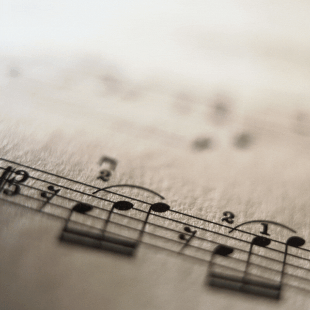 [Image: TCS-0022.gif]