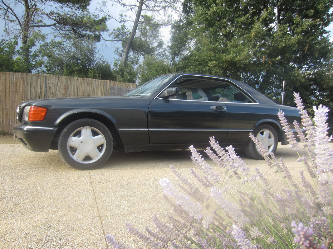 359712260 784282999897235 8571332709957751835 n