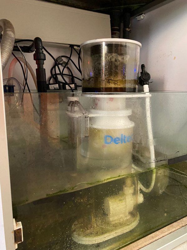 897C58D7-1A05-456B-8EC6-0E273070C1EC