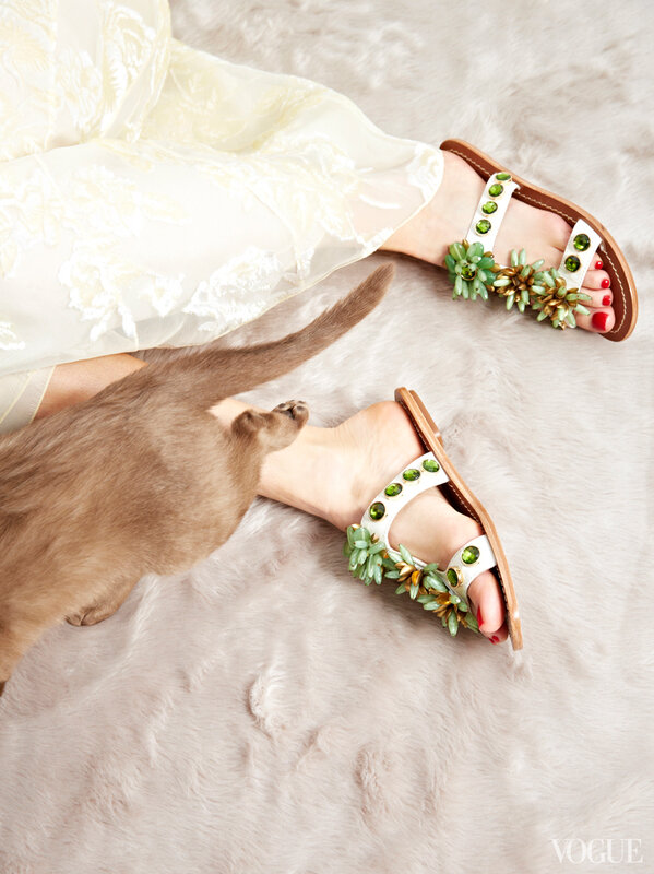 cats-kittens-flats-shoes-11-172733442698