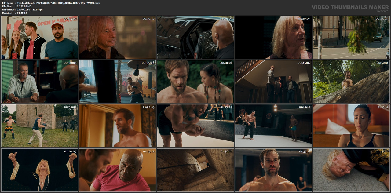 The.Last.Kumite.2024.NORDiCSUBS.1080p.BRRip.10Bit.x265-SWAXX.mkv