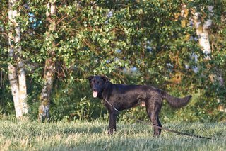 4A8A5003-B69D-4752-930F-6B5BA6CE571E