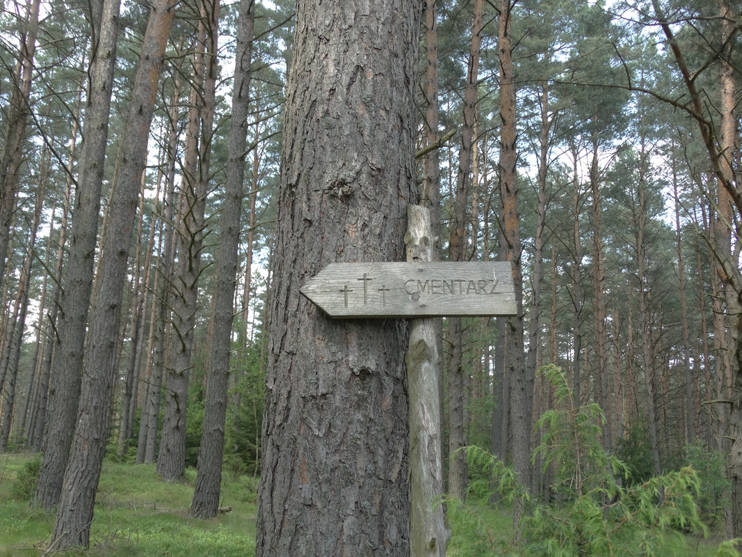 12 - DSC04090 (Czesio1)