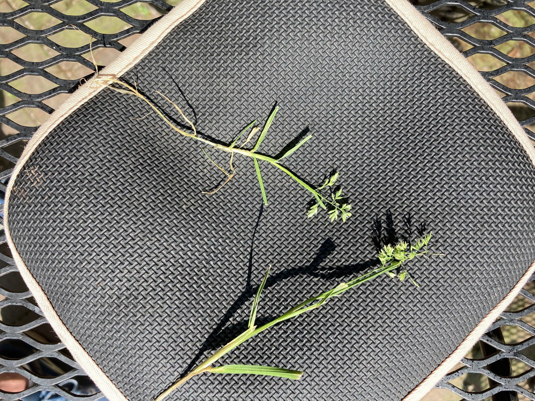 7C889D18-A6D4-4097-A656-2A1173C56BA1