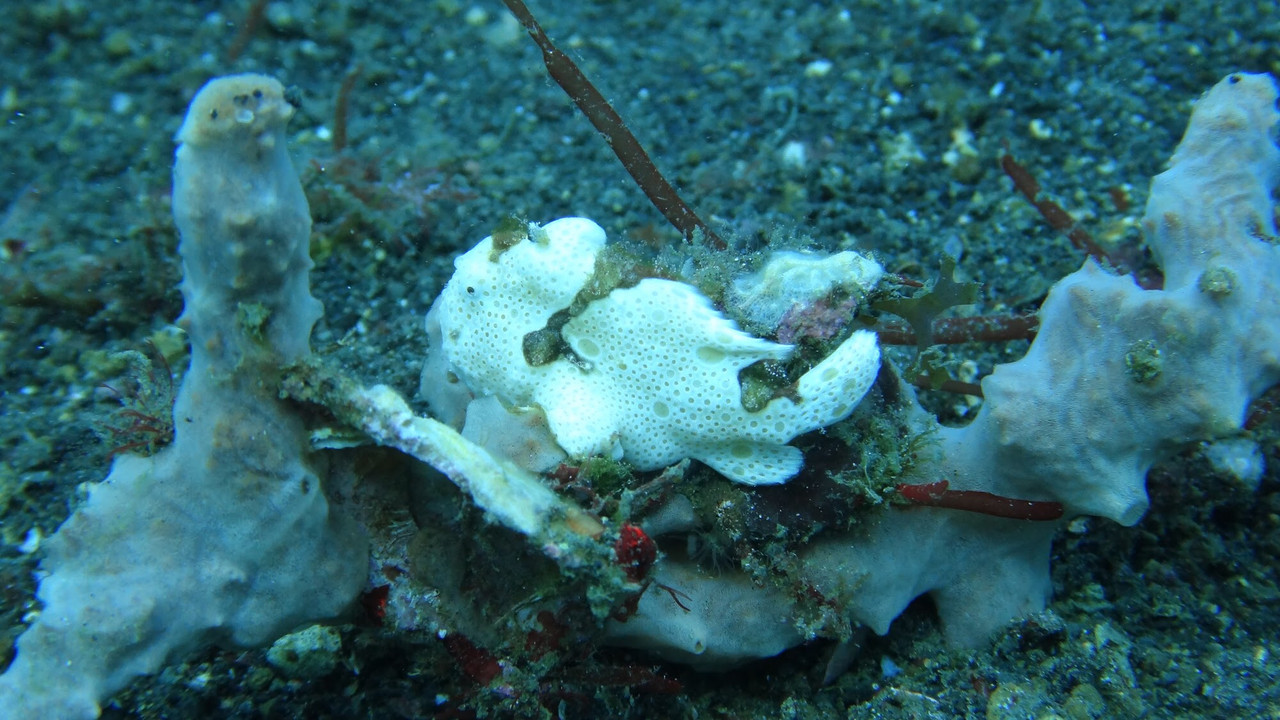 CD0634C0-D411-4F44-B663-322B3EB86B72