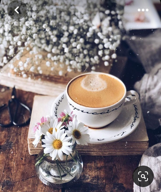 Screenshot_20230806_234633_Pinterest