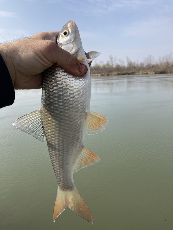 AAAC1ED4-3BFA-4912-9384-1159A6F79F8E