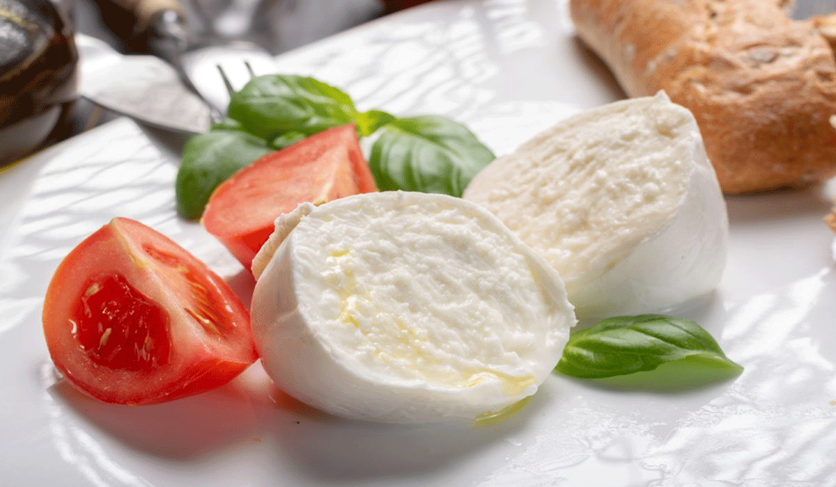 Kreativitas Dalam Mengolah Mozzarella