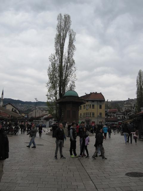 Vacaciones en Sarajevo y Croacia - Blogs of Europe Oriental - Sábado 8 de abril  Sarajevo. Barrio Otomano, (1)