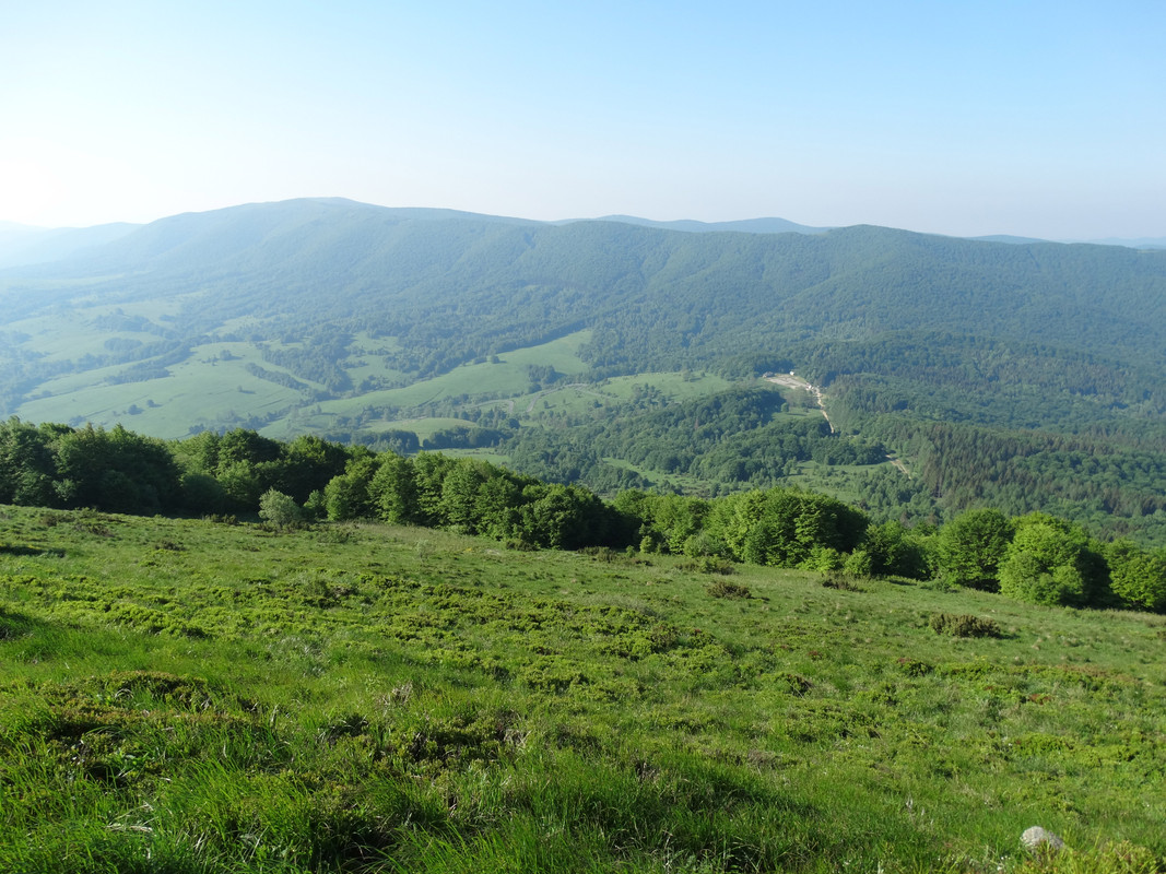 040 - DSC00918 (Mirmił)