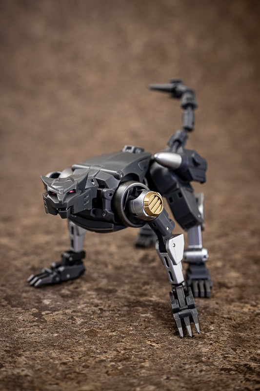 67796628_2433205176740852_1796520739004743680_n