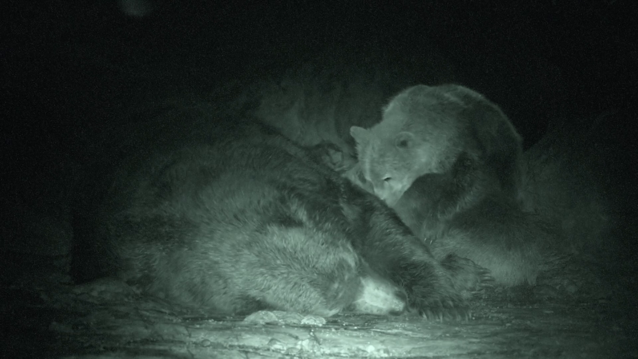 vlcsnap 2025 11 26 03h02m08s426