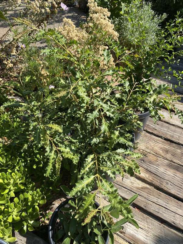 45DFFA1A-B814-45F2-851F-8F7FA567A27F