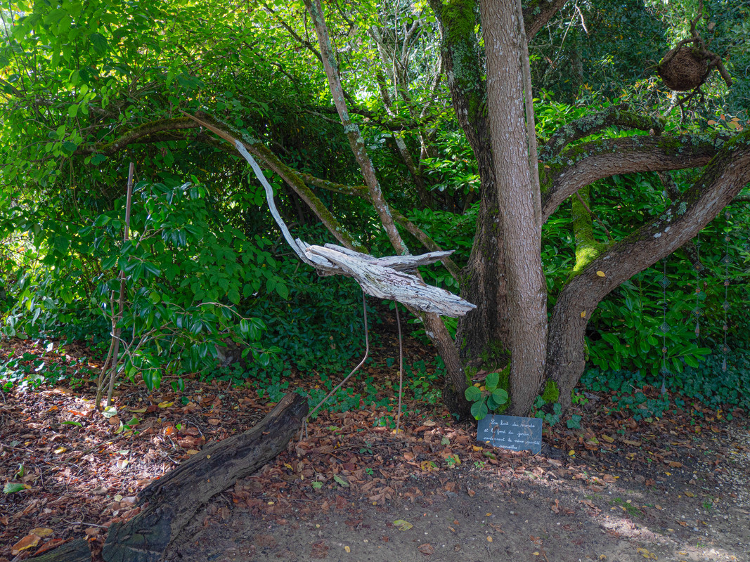 Oiseau en bois flotté peint