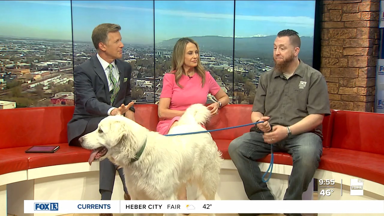 FOX13 News Good Day Utah 9AM_20240419_16001700.ts_snapshot_56.05.805