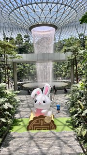 Indonesia, Singapur y Malasia 2022 - Blogs de Asia Sudeste - Día 12 y 13. Singapur (1)