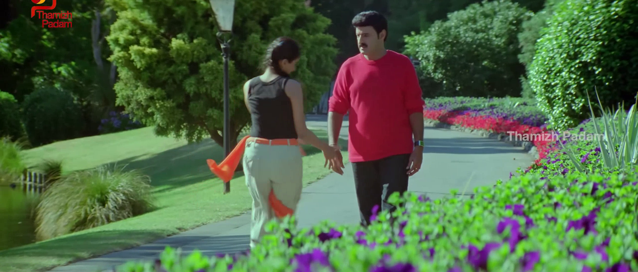 vlcsnap-2025-09-30-17h52m10s319