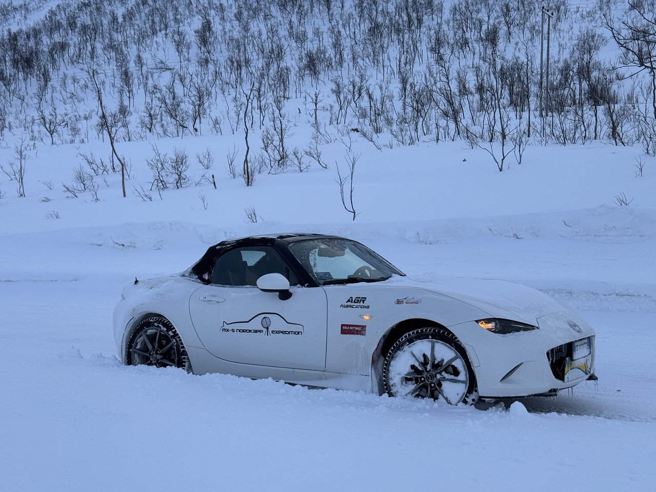 [Immagine: IMG-8292.jpg]