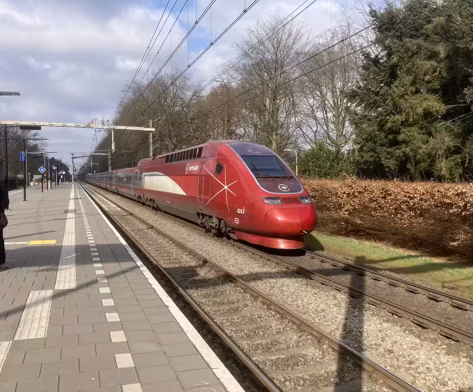 Afbeelding