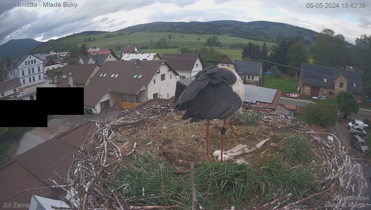 Tiešraides kamera — Mladé Buky — stārķa ligzda 13-8-19 screenshot