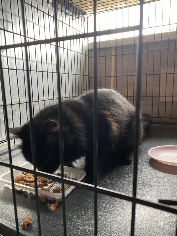 4D896A23-C2F2-4404-9F1B-1136ABB0165F