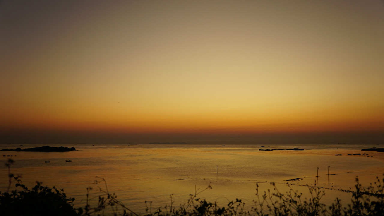 DSC01918