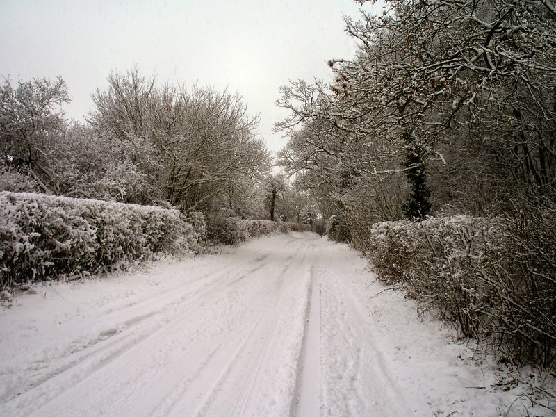 snowathome.jpg