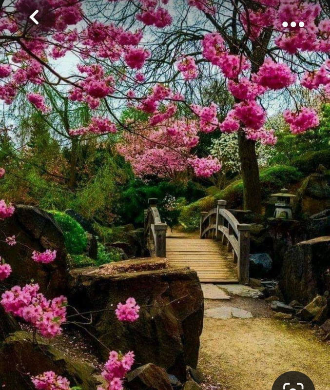 Screenshot_20231014_213100_Pinterest