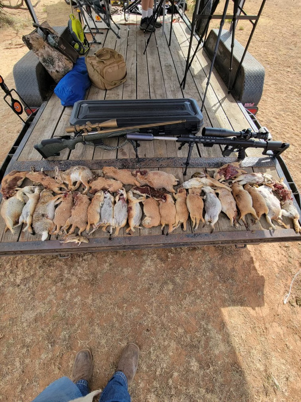 Resized_20240720_170915_1721518886159