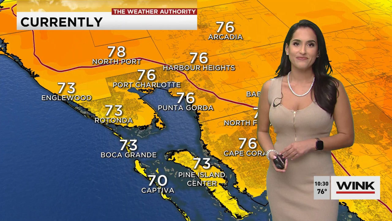 02.09 - 15.00.00 - WINK News at 10 00 a.m..ts_snapshot_00.31.38.202