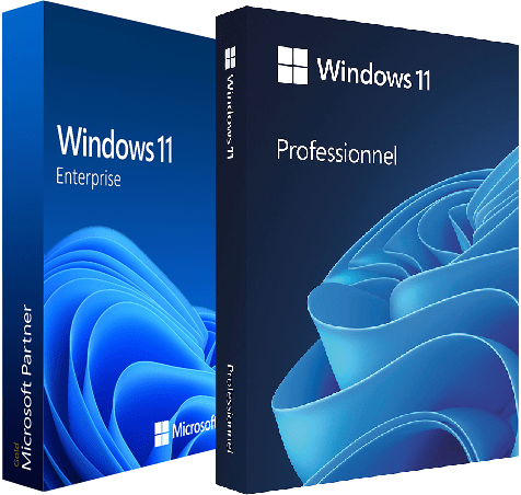 Windows 11 ProEnterprise 24H2 Build 26100.4351 (No TPM Required) Preactivated Multilingual June 2025