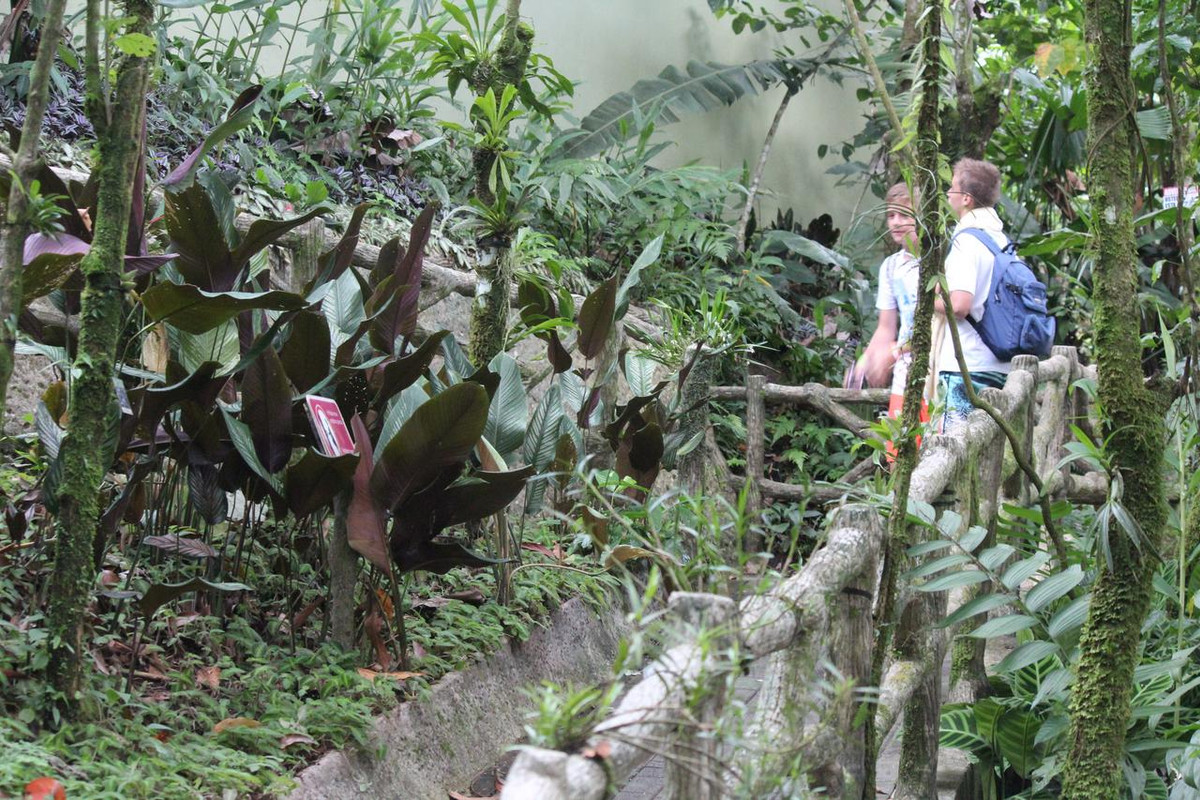 DE TORTUGAS Y PEREZOSOS. COSTA RICA 2019 - Blogs de Costa Rica - DIA 7: ARENAL. CATARATA FORTUNA (13)