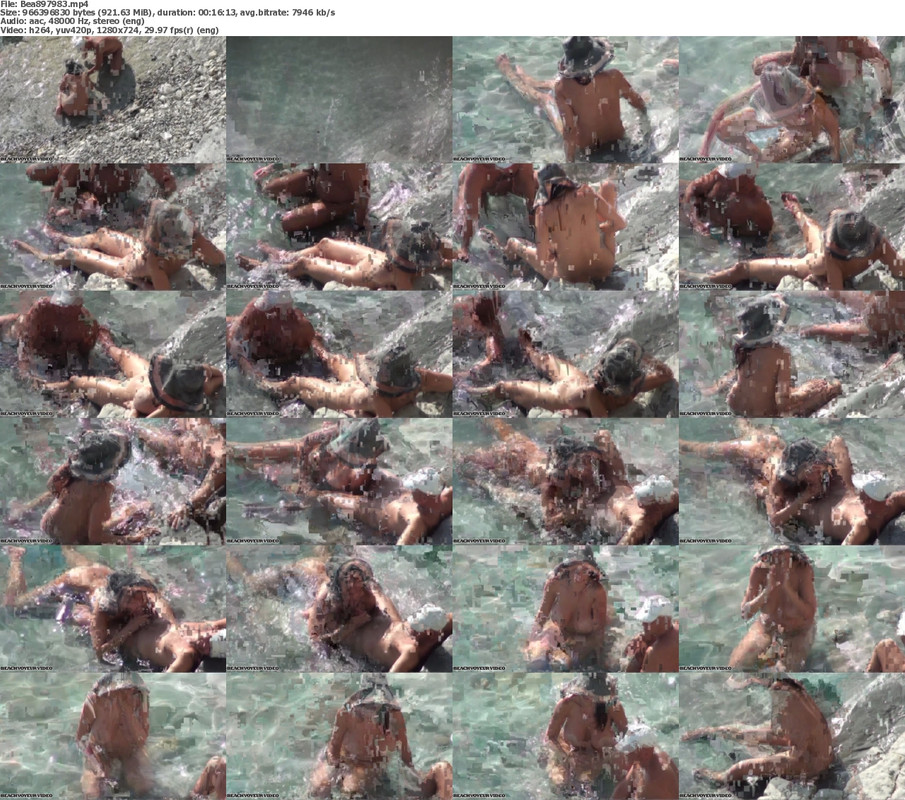 25112024085221screenshot