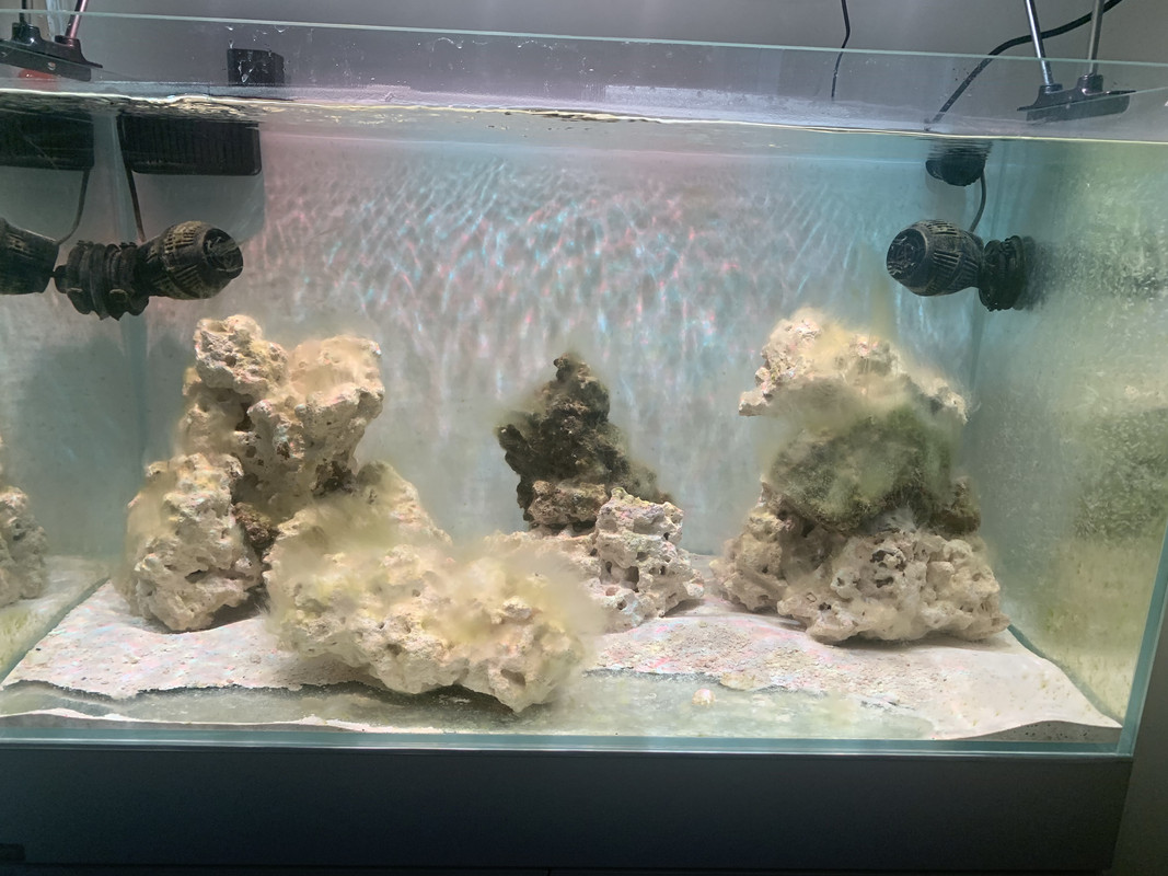 C0C2322F-2E1B-4D6B-880D-3508F82177D7