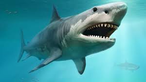 Megalodon