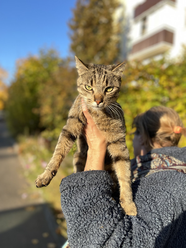 CA1813B0-B027-4579-9AB4-9A381B363856