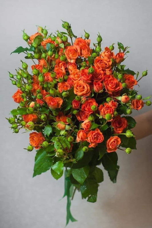 278554979_725730258780797_6377368254029637850_n